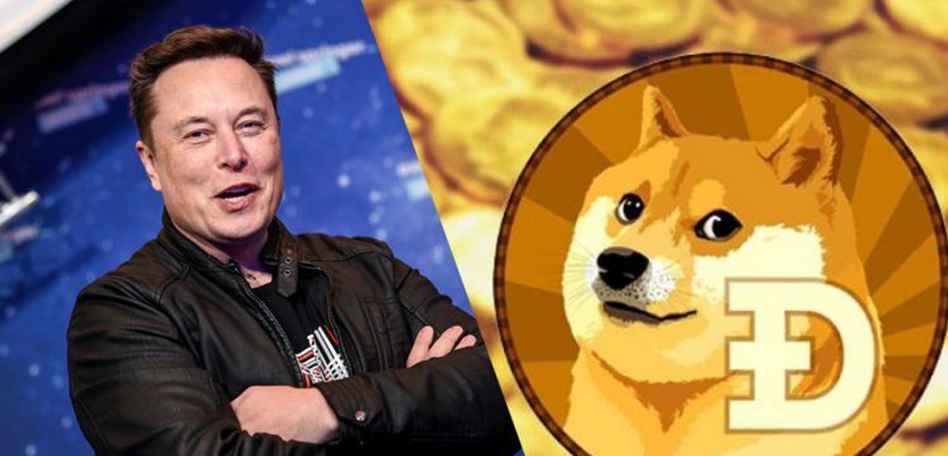 狗狗币的“滑铁卢”;高波动资产的困境与宏观经济的无情之手