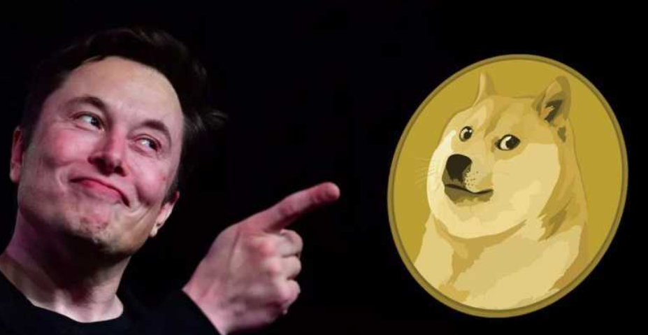 数字世界的“迷因狂欢”;一文读懂迷因币的魔力、风险与生存法则